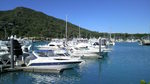 marina.jpg