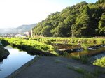 sanin8.jpg
